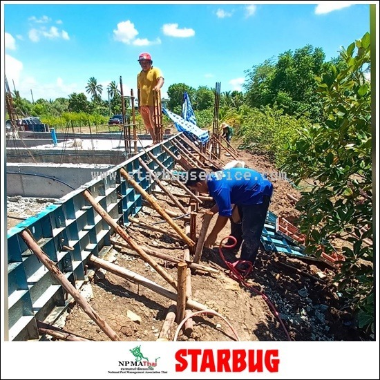 วางระบบท่อเคมี อัดน้ำยาเคมีลงดิน-กำจัดปลวกปทุมธานี